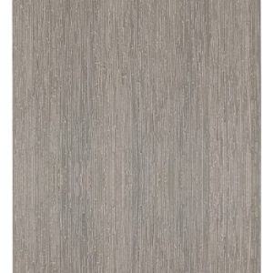Face lisse couleur Grey